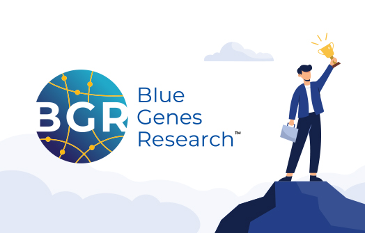 chittlesoft solutions portfolio